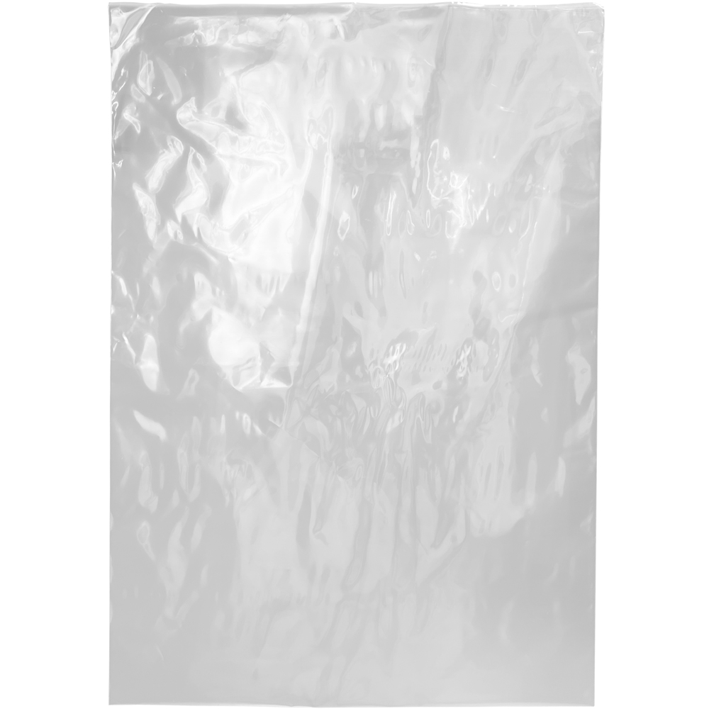Physical 13 x 18 2 Mil Flat Poly Bag