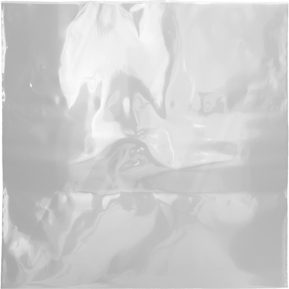 4 Mil 16 x 16 Poly Bag