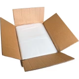 Case of 16 x 24 2 Mil Flat Poly Bags
