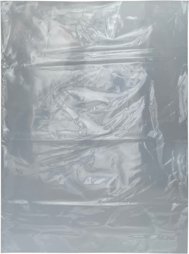 20 x 30 2 mil Poly Bags