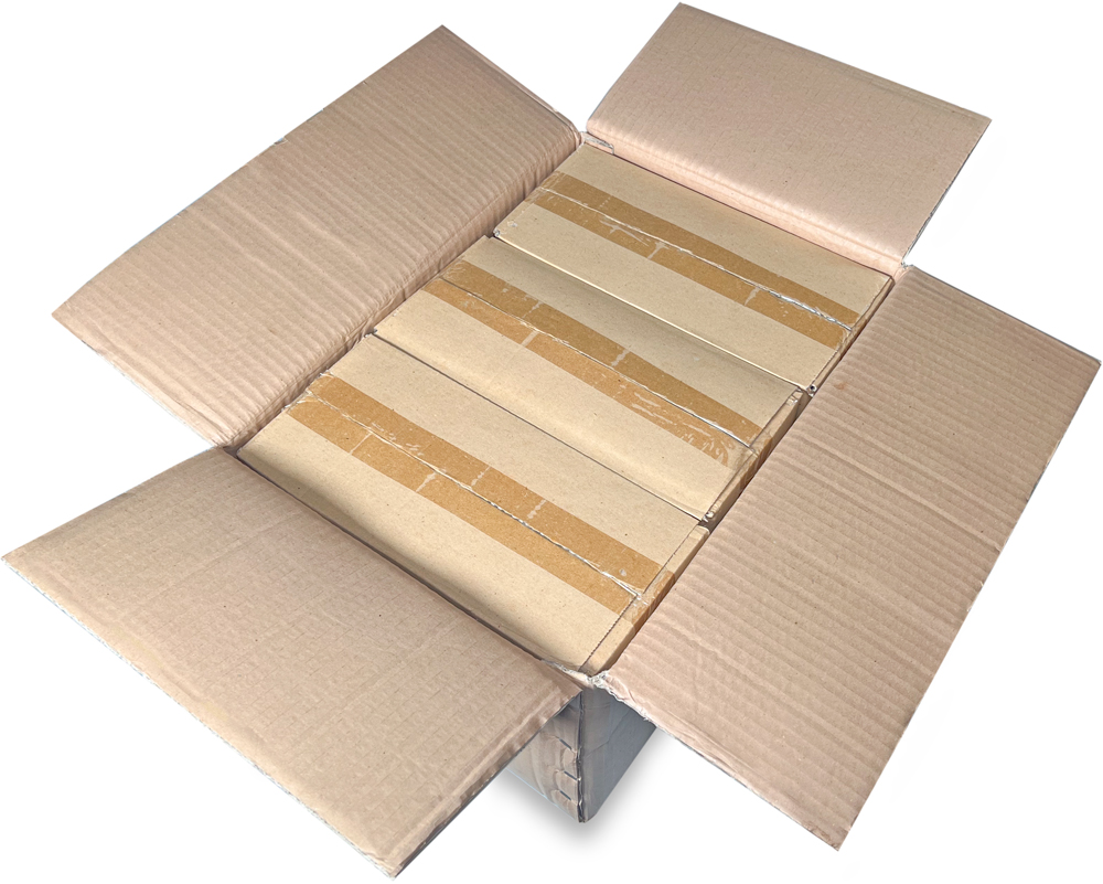 Master Case of 2 Mil 2 x 2 Poly Bags