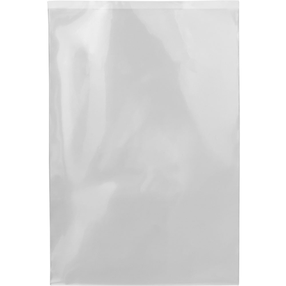 Physical 3 x 4 3 Mil Flat Poly Bag