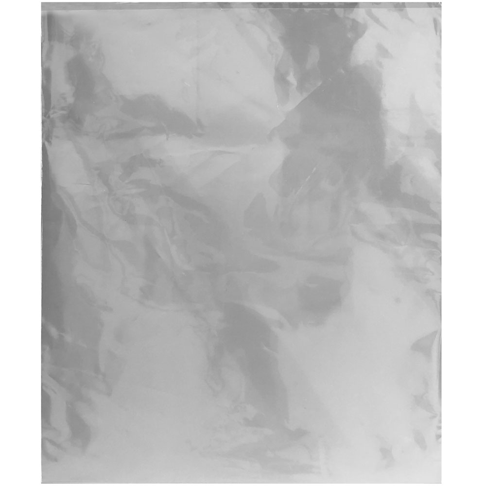 30 x 36 2 Mil Physical Flat Poly Bag
