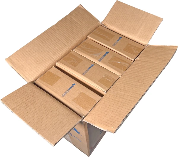 Master Case of 2 Mil 3 x 24 Poly Bags