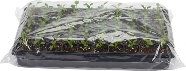44 x 48 2 Mil Flat Poly Bags with Flat of 1020 Seedling Tray 1020 Seedling Tray Inside of a 2 Mil 44 x 48 Poly Bags