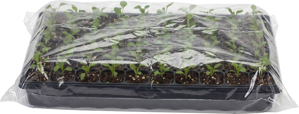 1020 Seedling Tray Inside of a 2 Mil 44 x 48 Poly Bags