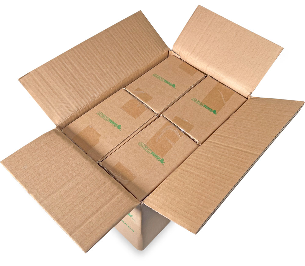 Master Case of 3 Mil 4 x 10 Poly Bags