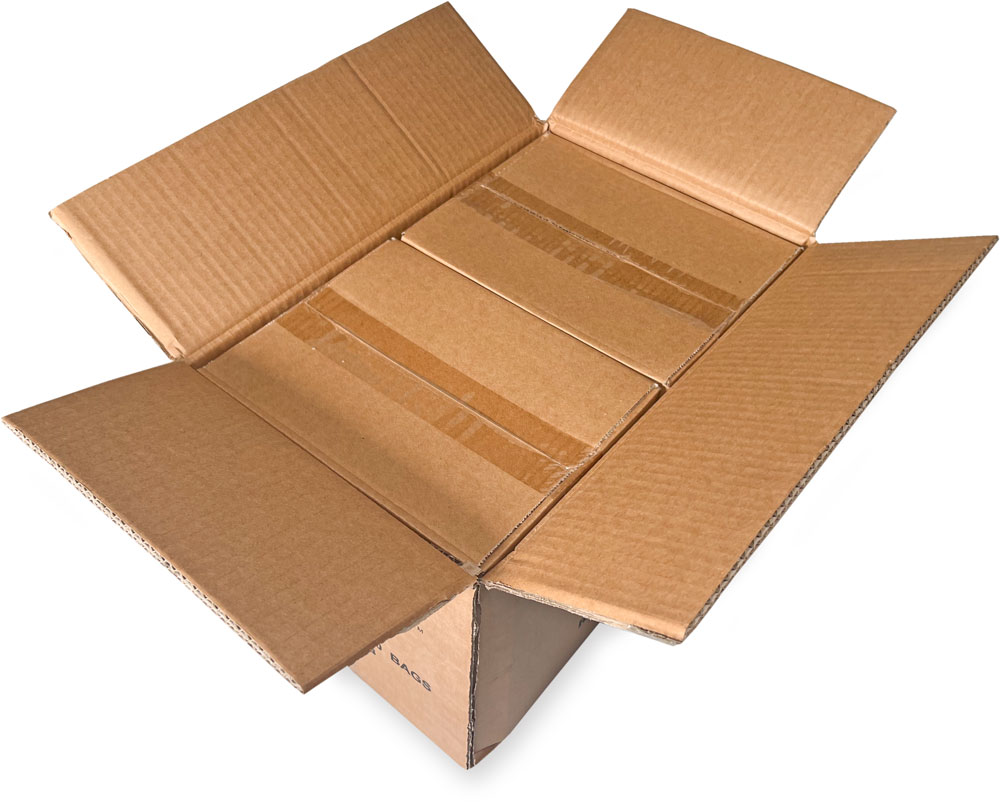 Master Case of 4 Mil 4 x 12 Poly Bags