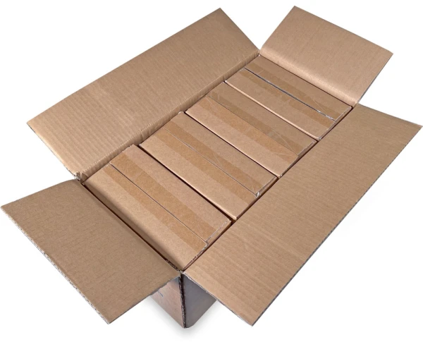 Master Case of 2 Mil 4 x 8 Poly Bags