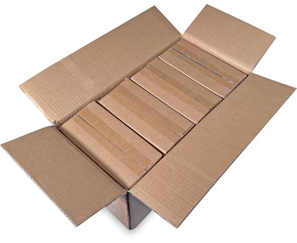 Master Case of 2 Mil 4 x 8 Poly Bags