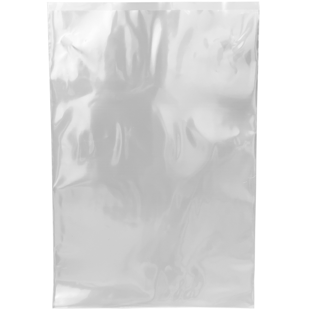 Physical 5 x 7 2 Mil Flat Poly Bag