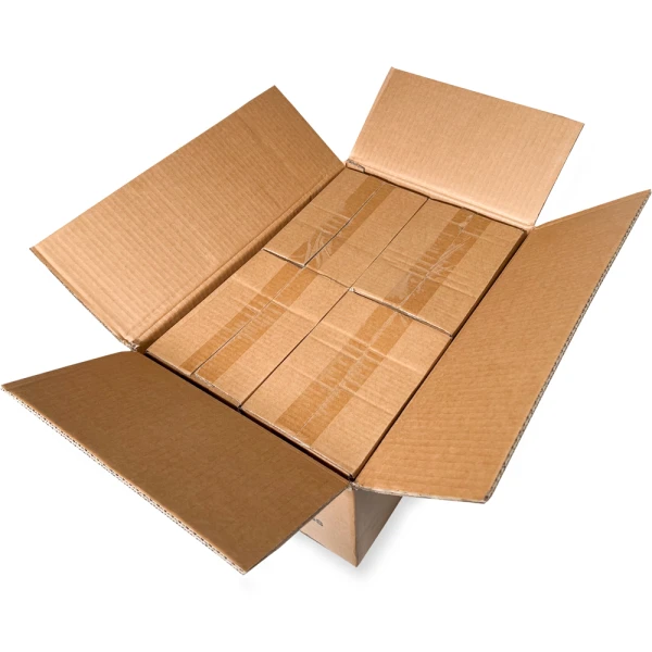 Mastercase of 4 Mil 5 x 7 Poly Bags