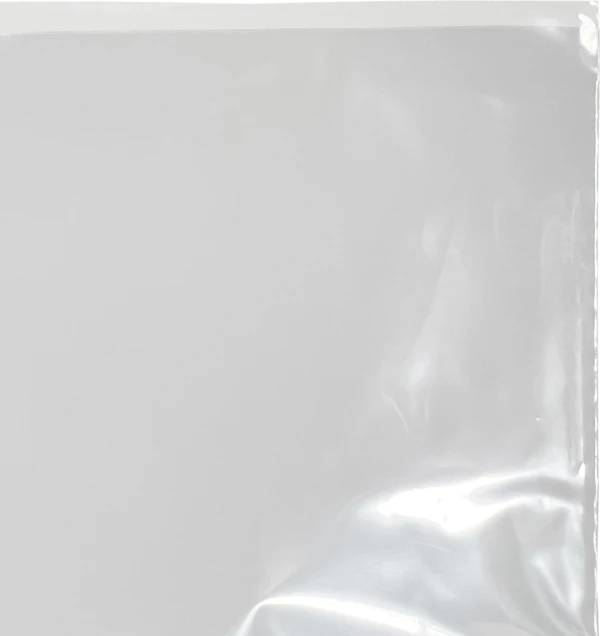 Open Top Offset Lip of 2 Mil 5 x 6 Poly Bags