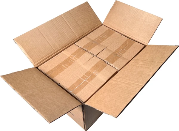 Master Case of 4 Mil 5 x 8 Poly Bags
