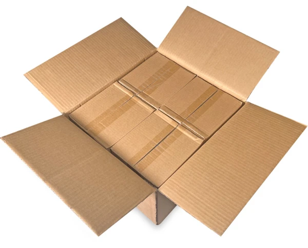 6x12 2 Mil Flat Poly Bags Master Case Master Case of 2 Mil 6 x 12 Poly Bags