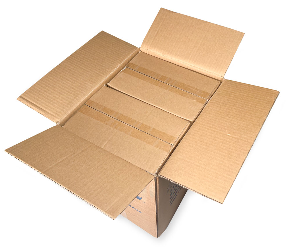 2 Mil 6 x 9 Poly Bags Master Case