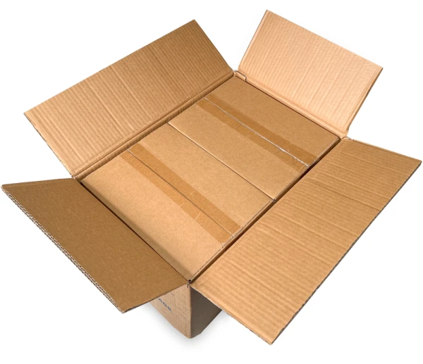 8 x 10 2 Mil Flat Poly Bags Master Case 2 Mil 8 x 10 Poly Bags Master Case