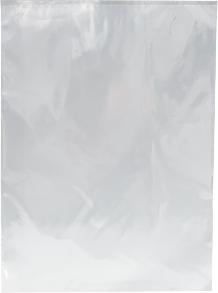 8 x 10 2 Mil Physical Flat Poly Bag