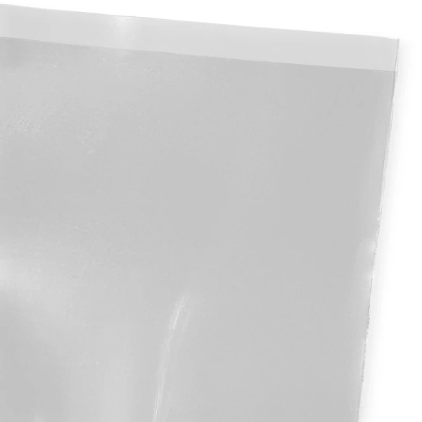 8 x 10 4 Mil Flat Poly Bags Lip Close up of 8 x 10 4 Mil Flat Poly Bags Lip