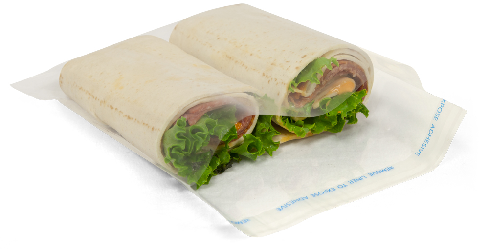 8x10 Lip and Tape Bags