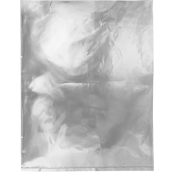 8 x 10 2 Mil Physical Flat Poly Bag