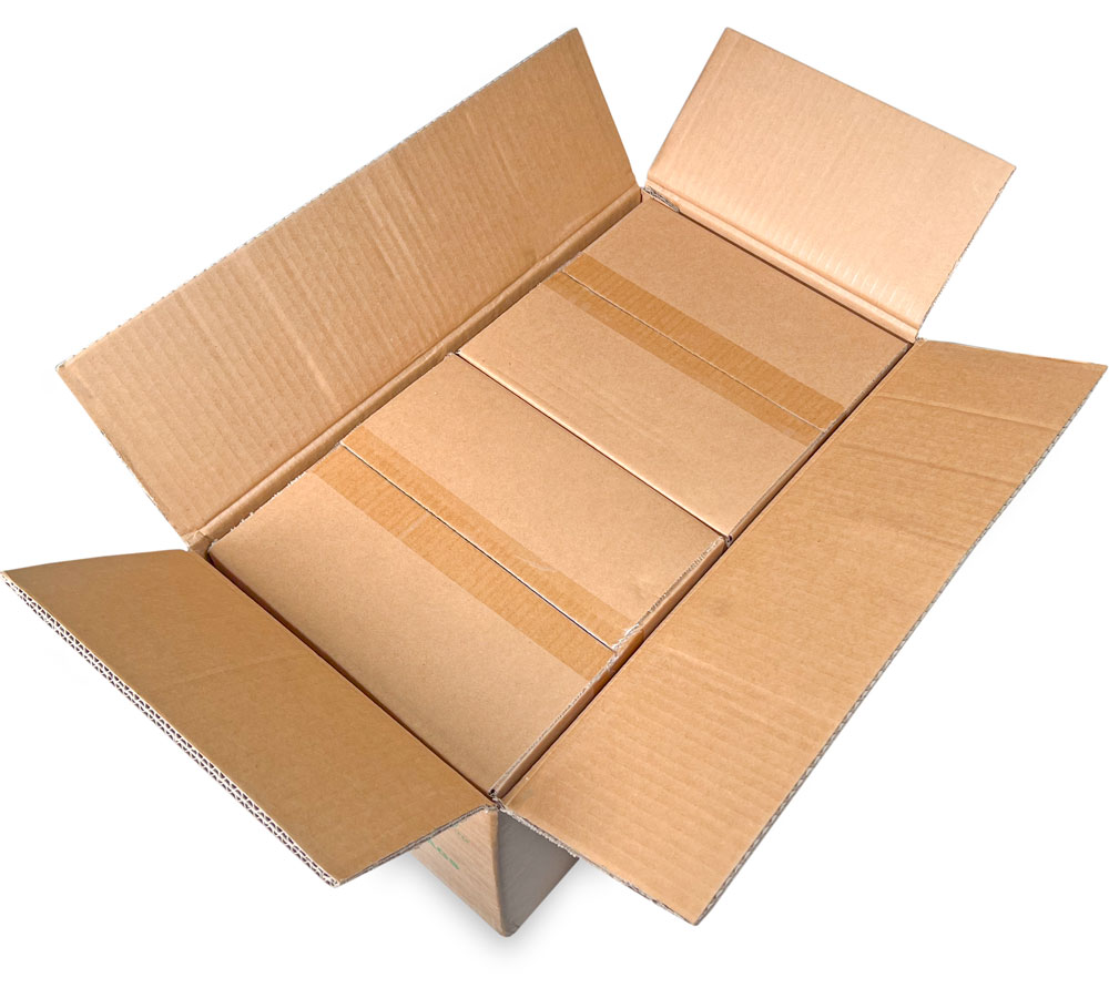 Master Case of 1 Mil 8x16 Poly Bags