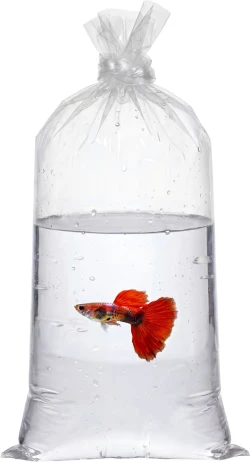 9" x 15" 2 Mil Flat Poly Bags