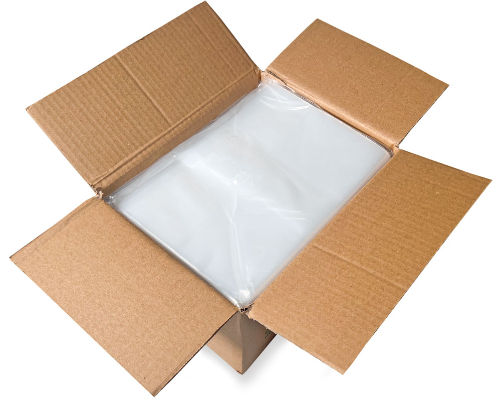 Case of 1.25 Mil 9 x 12 Plastic Bags