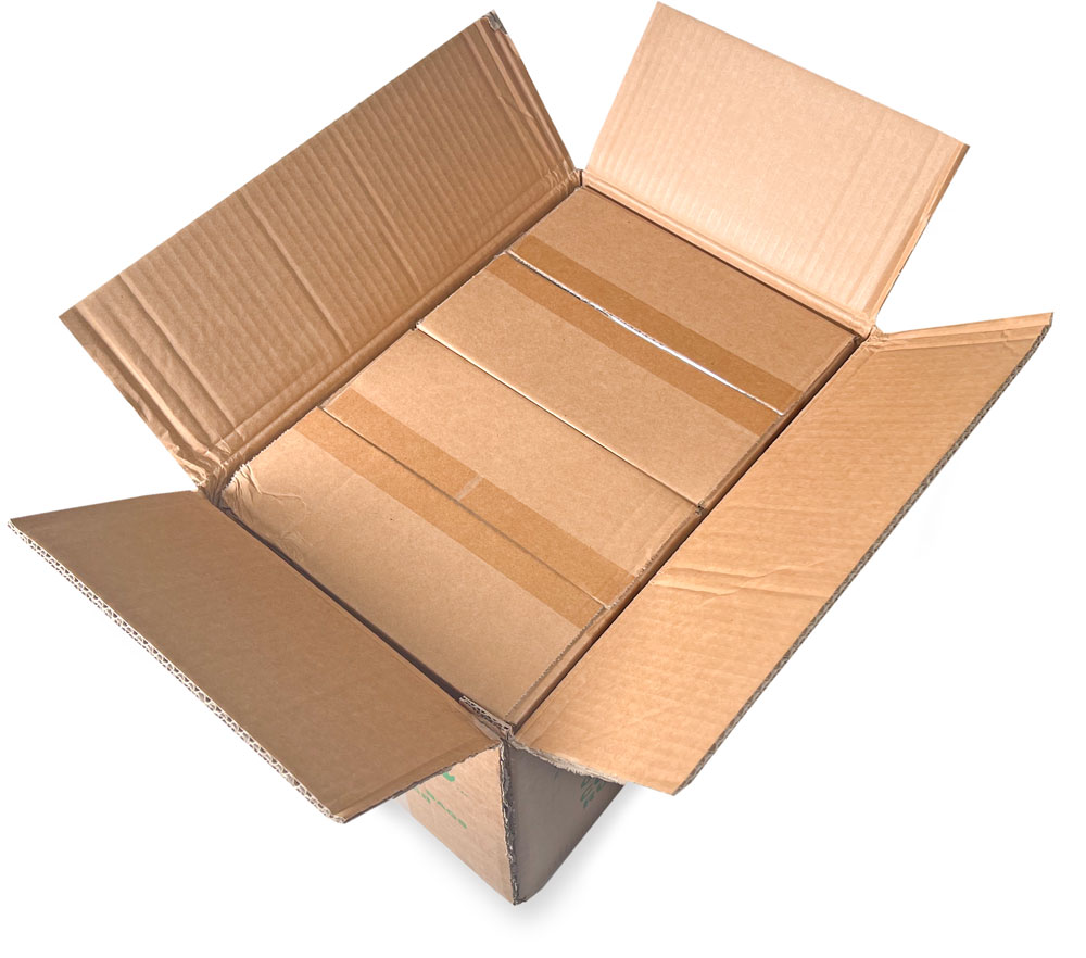 1.25 Mil 9 x 12 Plastic Bags Master Pack