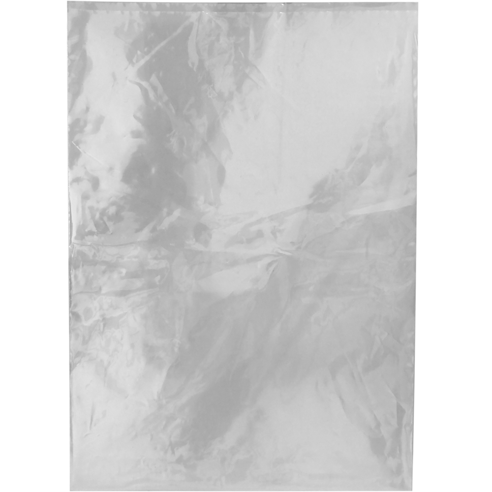 9 x 12 2 Mil Physical Flat Poly Bag