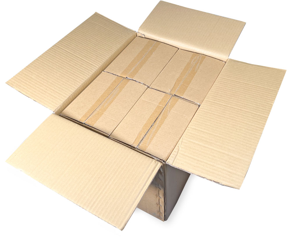 Master Case of 4 x 5 Clearzip Locking Top Bags 2 Mil