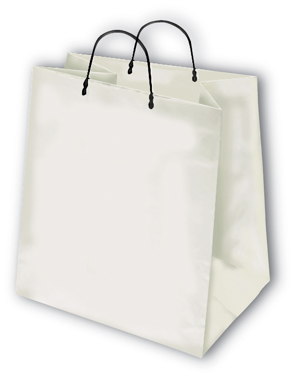 10-x-9-x-13-+-9-Rigid-Loop-Handle-Plastic-Shopper