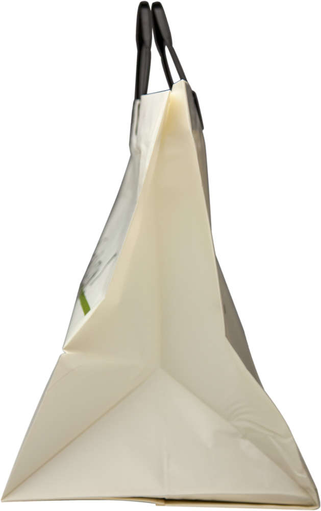 Side Gusset 13x10x14+10 Rigid Loop Plastic Handle Shopping Bag