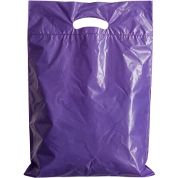 15" x 19" + 3" 2.5 Mil Purple Retail Shopping Bags
