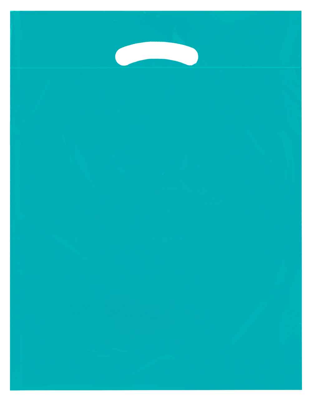 Teal 15x19+3 2.5 Mil Retail Shopping Bags