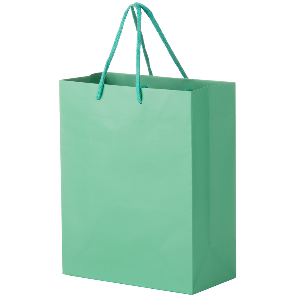 Aqua Blue 8x4x10 Euro Tote Shopping Bags
