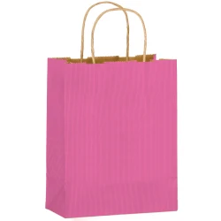 Matte Pink Color Twisted Paper Handle Shoppers 8" x 4" x 10" + 4"