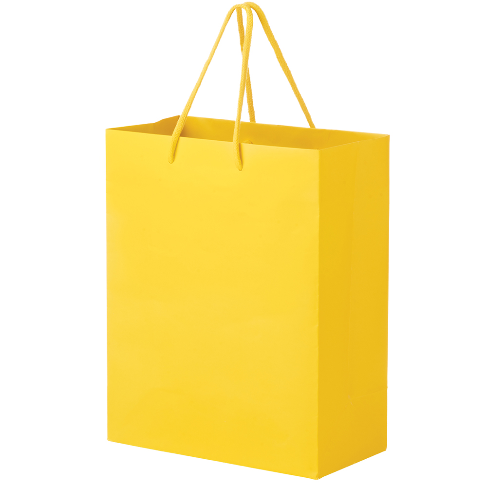8 x 4 x 10 sun foil print euro totes