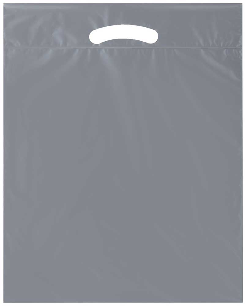 Silver 9 x 13 + 2 2.5 Mil Silver Retail Shopping Bags