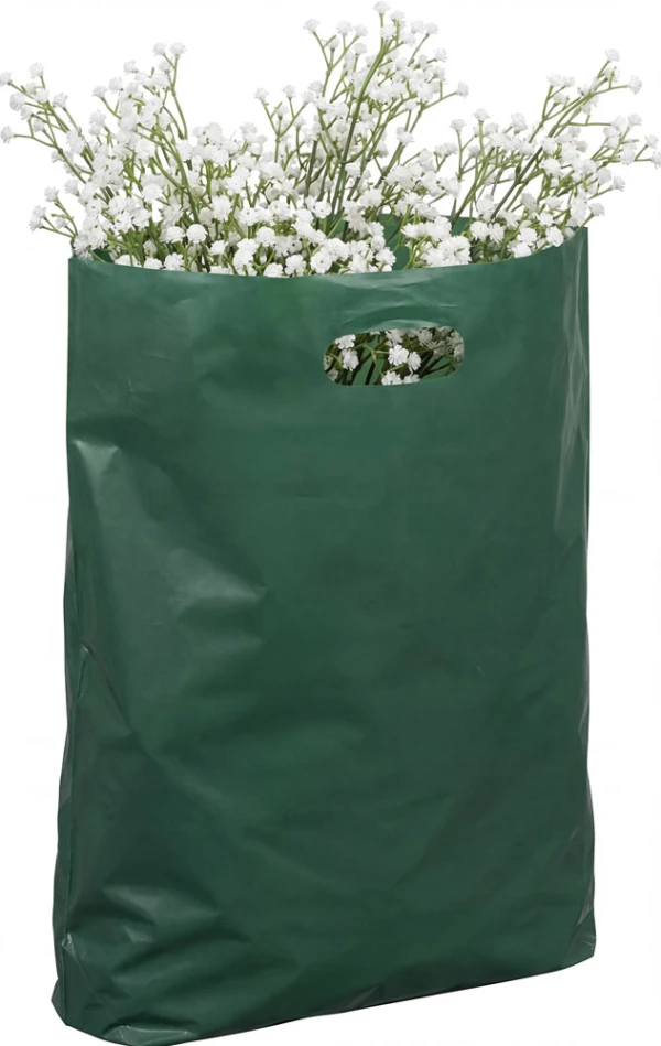 9x13+2 2.5 Mil Hunter Green Green Retail Shopping Bags Hunter Green Die Cut Handle Bags with Merchandise Hobby Flowers in a 9x13+2 2.5 Mil Hunter Green Fold-Over Reinforced Die Cut Handle Bags