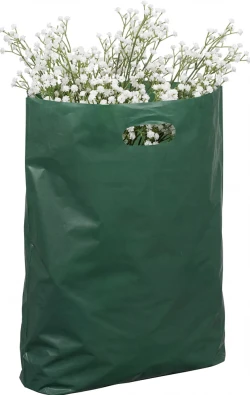 9" x 13" +2" 2.5 Mil Hunter Green Retail Shopping Bags