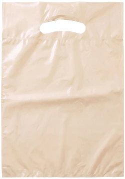 9" x 13" +2" 2.5 Mil Ivory Retail Shopping Bags