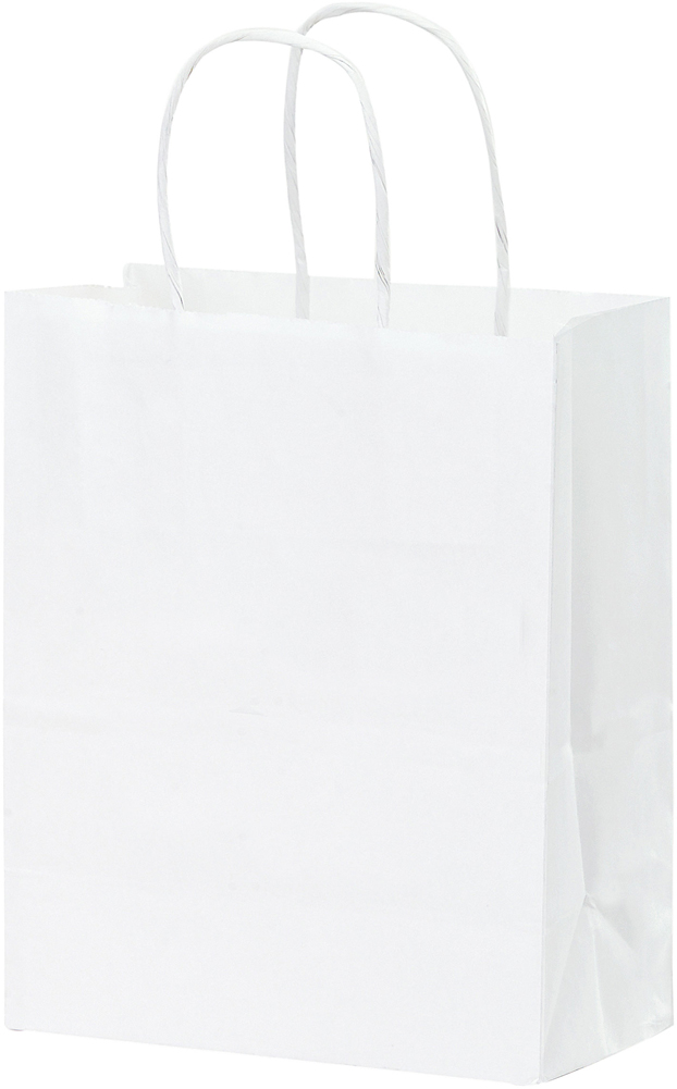 White Twisted Paper Handle Gift Bag