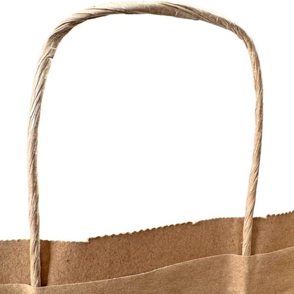 10 x 5 x 13 Twist Handle Kraft Paper Shoppers Twisted Paper Handle 10 x 5 x 13 Kraft Paper Bag wih Twist Handle