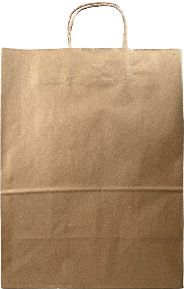 13 x 7 x 17 Twist Handle Kraft Paper Shoppers Front and Back Side Front and Back Side of 13 x 7 x 17 Kraft Paper Bag wih Twist Handle