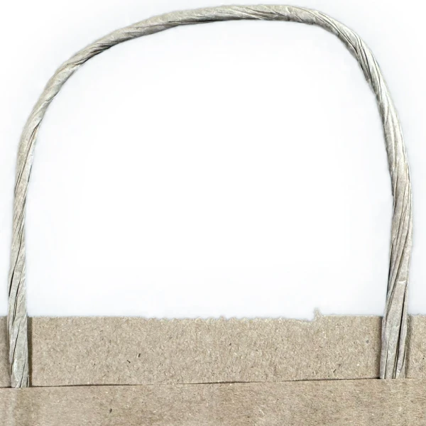 13 x 7 x 17 Twist Handle Kraft Paper Shoppers Twisted Paper Handle Twisted Paper Handle of 13 x 7 x 17 Kraft Paper Bag wih Twist Handle