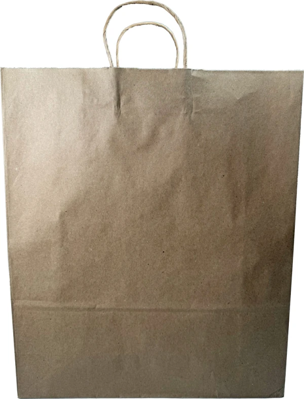 16 x 6 x 19 Twist Handle Kraft Paper Shoppers Front or Back Front or Back of 16 x 6 x 19 Kraft Paper Bag wih Twist Handle