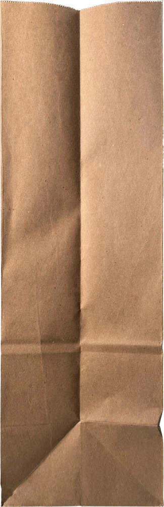 16 x 6 x 19 Twist Handle Kraft Paper Shoppers Side Gusset Side Gusset of 16 x 6 x 19 Kraft Paper Bag wih Twist Handle