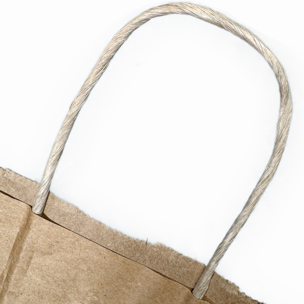 8 x 5 x 10 Kraft Paper Bag wih Twist Handle Twisted Paper Handle