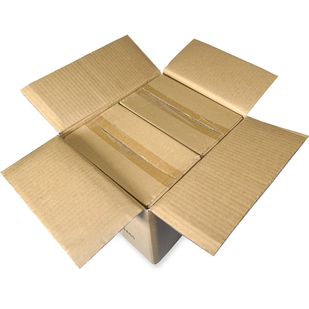 Mastercase of 10 x 10 Clearzip® Locking Top Bags 4 Mil